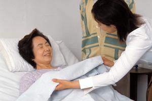 板橋区で評判の矯正歯科徹底ガイド【2026年最新版】人気の理由と選び方