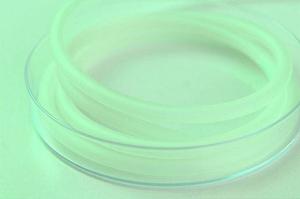 大田区蒲田のオアシス歯科について