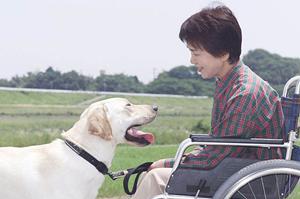 札幌市にある婦人科クリニックについて