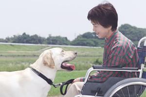 「新潟で信頼できる肛門外科を見つけるための徹底ガイド：痔の治療法と医師選びのポイント」