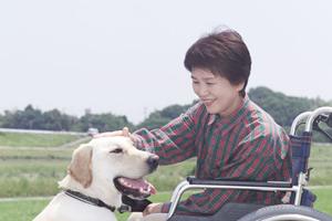 葛飾区で始める高血圧対策：正しい生活習慣と医療サポートのポイント