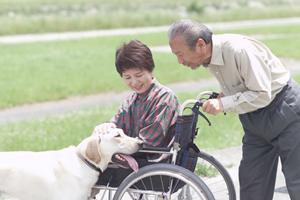 銀座で内科治療を子供にさせるなら