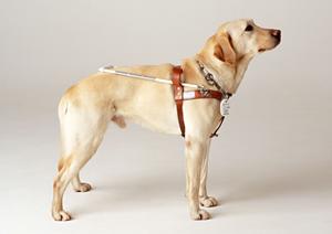 安全なクリニックで行われる中絶手術