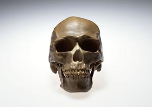 インビザラインの歯並び矯正治療！早良区で人気の理由を徹底解説！