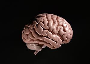 札幌市なら大腸内視鏡検査も充実